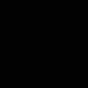 Two American Eagle Tops